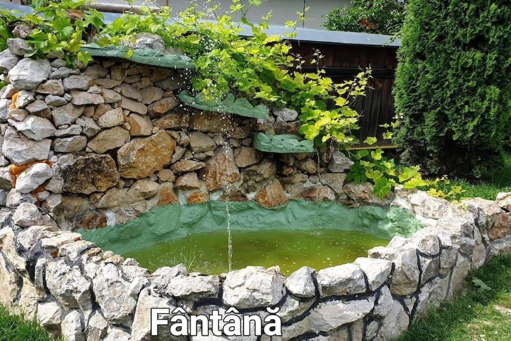 Ciprians' Home 萨彻勒 外观 照片